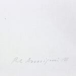 Il pescatore - immagine 3
