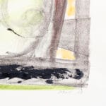 Riflessi sulla finestra - immagine 3