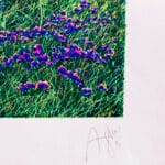 Mi ricordo di Pettineo - immagine 3
