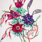Anemone per antipasti