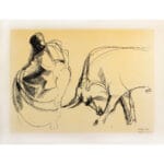 Corrida - immagine 2