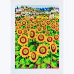Girasoli - immagine 2
