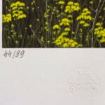 Profumi - immagine 3