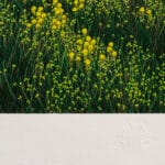Certezze - immagine 3