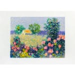 Fiori della Murgia - immagine 2
