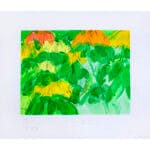 Cavallette - immagine 2