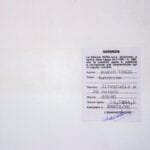 Katerine - immagine 3