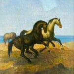 Cavalli - immagine 2