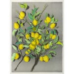 Limoni - immagine 2