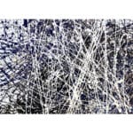 Vincenzo - immagine 2