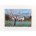 Abruzzo in fiore - immagine 2