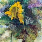 Girasole