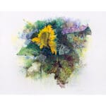 Girasole - immagine 2