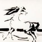Cavallo