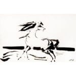 Cavallo - immagine 2