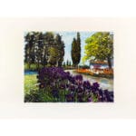 Carmel - immagine 2