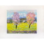 Estate in Toscana - immagine 2