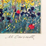 Primavera a Maiella - immagine 3