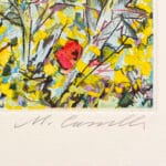Ginestre in Toscana - immagine 3