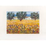Campo di grano - immagine 2