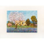 Paesaggio - immagine 2