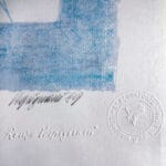 Cespuglio di rose - immagine 3