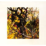 Alberi - immagine 2