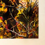 Alberi - immagine 3