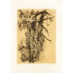 Tronco - immagine 3
