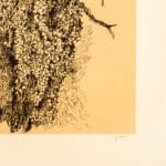 Tronco - immagine 2