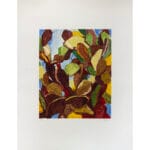 Cactus - immagine 2