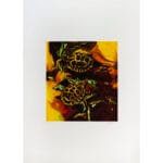 Tartarughe - immagine 2