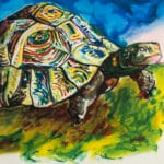 Tartaruga