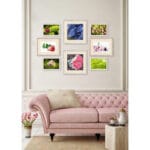 Flowers in Soledad - immagine 2