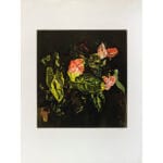 Fiori - immagine 2