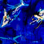 In fondo - immagine 3