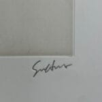 Figure - immagine 3