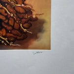 Datteri - immagine 2