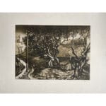 Ulivi - immagine 2