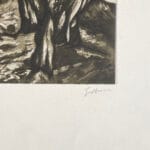 Ulivi - immagine 3