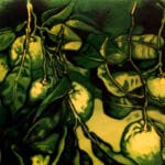 Limoni
