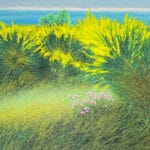 Campo di ginestre