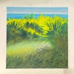 Campo di ginestre - immagine 2