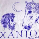 Xanto