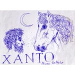 Xanto - immagine 2