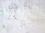 La maga circe trasforma in bestie i compagni di Odisseo - immagine 3