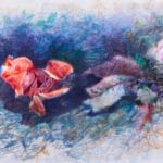 Rose II