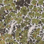 Giardino del ficus - immagine 3
