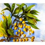 Nespole (opera unica) - immagine 2