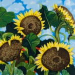 Girasoli